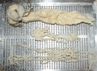 Pig casings