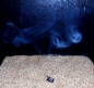 Preview: Jaeger cold smoke lighter, smoking chip lighter, smoking, smoking flour lighter, igniter,