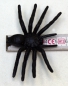 Preview: 5 spiders, party, decoration, Halloween, scary party