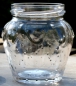 Preview: Strawberry jar