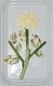 Preview: Cookie cutters "Sunflower" Set of 3 from Westmark