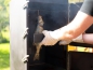 Preview: SURT XXL - The Outdoor Barbeque Oven