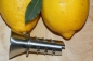 Preview: Lemon pourer by Westmark