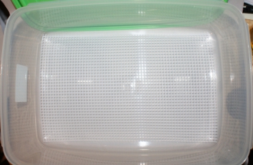 Reifebox, Deckel grün, inkl. Käsematte/Abtropfmatte ca. 9 Liter - 37,5x26,5x13,2 cm von Gies