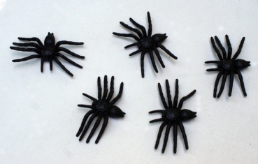 5 spiders, party, decoration, Halloween, scary party
