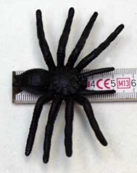 5 spiders, party, decoration, Halloween, scary party