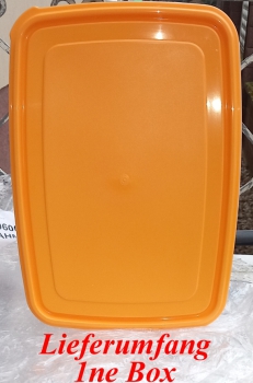 Preview: Pökelbox, Räucherlaugenbox, Lakebox, Frischhaltebox 9 L (ca.37,5x26,5x13,2cm) von Gies (4470)