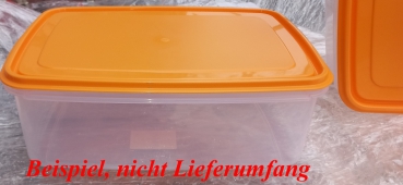 Pökelbox, Räucherlaugenbox, Lakebox, Frischhaltebox 9 L (ca.37,5x26,5x13,2cm) von Gies (4470)