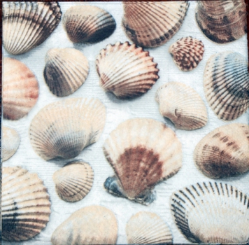 20 napkins "shells", beach party, holiday party, garden party