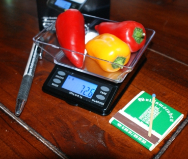 Dipse - MTW-Series 500, Digital Spice Scale, Fine Scale, Gold Scale, Pocket Scale