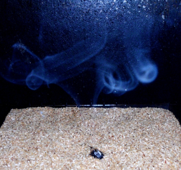 Jaeger cold smoke lighter, smoking chip lighter, smoking, smoking flour lighter, igniter,