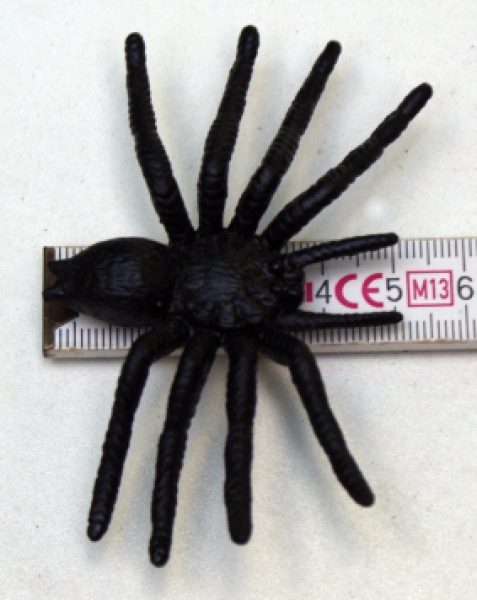 5 spiders, party, decoration, Halloween, scary party