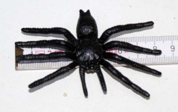 5 spiders, party, decoration, Halloween, scary party