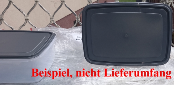 Pökelbox, Räucherlaugenbox, Lakebox, Frischhaltebox 9 L (ca.37,5x26,5x13,2cm) von Gies (4470)