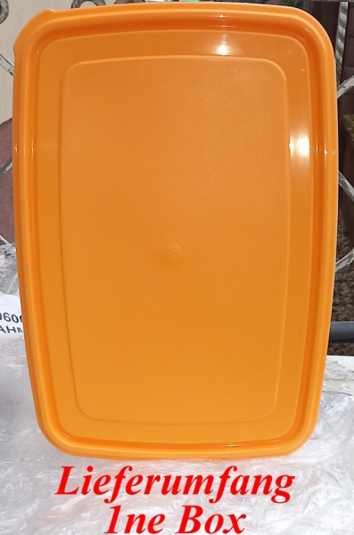 Pökelbox, Räucherlaugenbox, Lakebox, Frischhaltebox 9 L (ca.37,5x26,5x13,2cm) von Gies (4470)