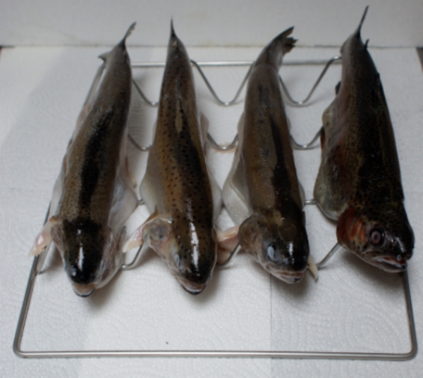 Fish basket, fish grid, 34x25cm, chrome-plated for Smoki Smokehouses