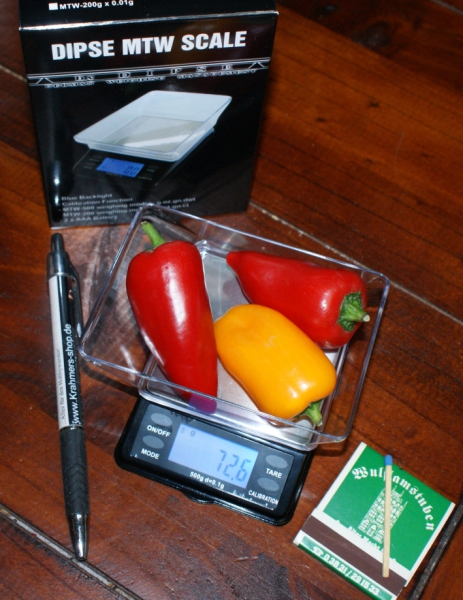 Dipse - MTW-Series 500, Digital Spice Scale, Fine Scale, Gold Scale, Pocket Scale