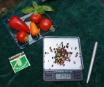 Dipse TP Series 0.01-500 g Electronic Spice Scale,Fine Scale,Pocket Scale,Gold Scale