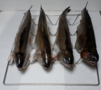 Fischkorb / Fischrost für bis zu 4 Fische - 1.4301 V2A-Edelstahl